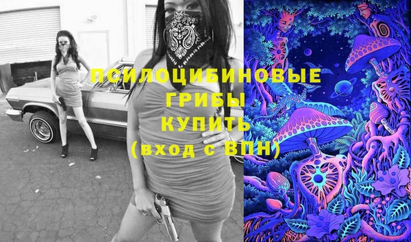 соль ск Горняк