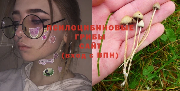СК Горнозаводск